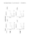 PROTEINS WITH REPETITIVE BACTERIAL-IG-LIKE (BIG) DOMAINS PRESENT IN     LEPTOSPIRA SPECIES diagram and image