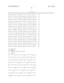 PROTEINS WITH REPETITIVE BACTERIAL-IG-LIKE (BIG) DOMAINS PRESENT IN     LEPTOSPIRA SPECIES diagram and image