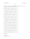 INCREASED PRODUCTION OF ISOBUTANOL IN YEAST WITH REDUCED MITOCHONDRIAL     AMINO ACID BIOSYNTHESIS diagram and image