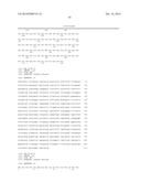 INCREASED PRODUCTION OF ISOBUTANOL IN YEAST WITH REDUCED MITOCHONDRIAL     AMINO ACID BIOSYNTHESIS diagram and image