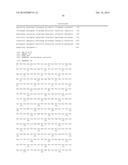 INCREASED PRODUCTION OF ISOBUTANOL IN YEAST WITH REDUCED MITOCHONDRIAL     AMINO ACID BIOSYNTHESIS diagram and image