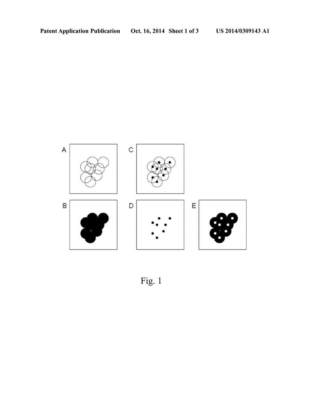 CENTROID MARKERS FOR IMAGE ANALYSIS OF HIGH DENSITY CLUSTERS IN COMPLEX     POLYNUCLEOTIDE SEQUENCING - diagram, schematic, and image 02