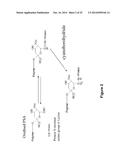 Derivatisation of Erythropoietin (EPO) diagram and image