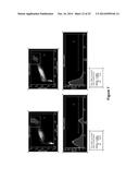 Derivatisation of Erythropoietin (EPO) diagram and image