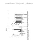 Methods and Compositions for Inhibiting Delayed Graft Function diagram and image