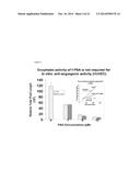 ANTI-ANGIOGENIC PEPTIDES AND USES THEREOF diagram and image