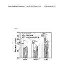 ANTI-ANGIOGENIC PEPTIDES AND USES THEREOF diagram and image