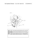 ANTI-ANGIOGENIC PEPTIDES AND USES THEREOF diagram and image