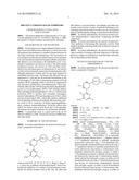 BRUTON S TYROSINE KINASE INHIBITORS diagram and image