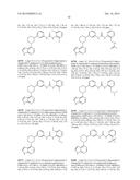 BRUTON S TYROSINE KINASE INHIBITORS diagram and image