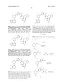 BRUTON S TYROSINE KINASE INHIBITORS diagram and image