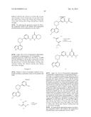 BRUTON S TYROSINE KINASE INHIBITORS diagram and image