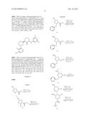 BRUTON S TYROSINE KINASE INHIBITORS diagram and image