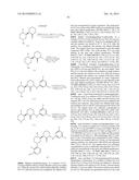 BRUTON S TYROSINE KINASE INHIBITORS diagram and image