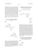 BENZOXAZINES AS MODULATORS OF ION CHANNELS diagram and image