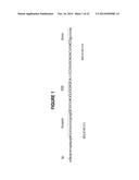 ANTISENSE OLIGONUCLEOTIDES FOR INDUCING EXON SKIPPING AND METHODS OF USE     THEREOF diagram and image