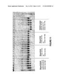 ANTISENSE OLIGONUCLEOTIDES FOR INDUCING EXON SKIPPING AND METHODS OF USE     THEREOF diagram and image