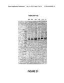 ANTISENSE OLIGONUCLEOTIDES FOR INDUCING EXON SKIPPING AND METHODS OF USE     THEREOF diagram and image