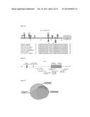 Mutations of Histone Proteins Associated with Proliferative Disorders diagram and image