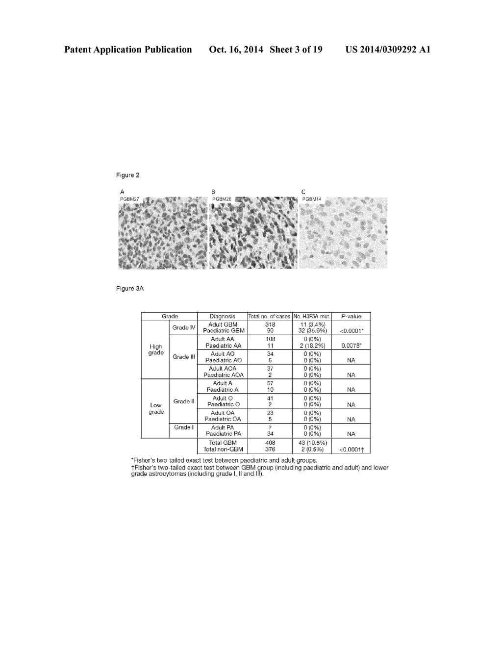 Mutations of Histone Proteins Associated with Proliferative Disorders - diagram, schematic, and image 04