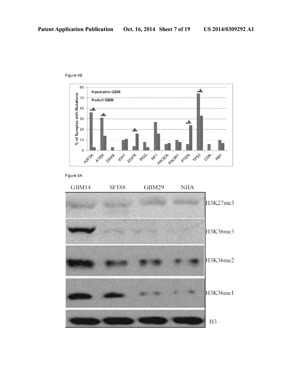 Mutations of Histone Proteins Associated with Proliferative Disorders - diagram, schematic, and image 08