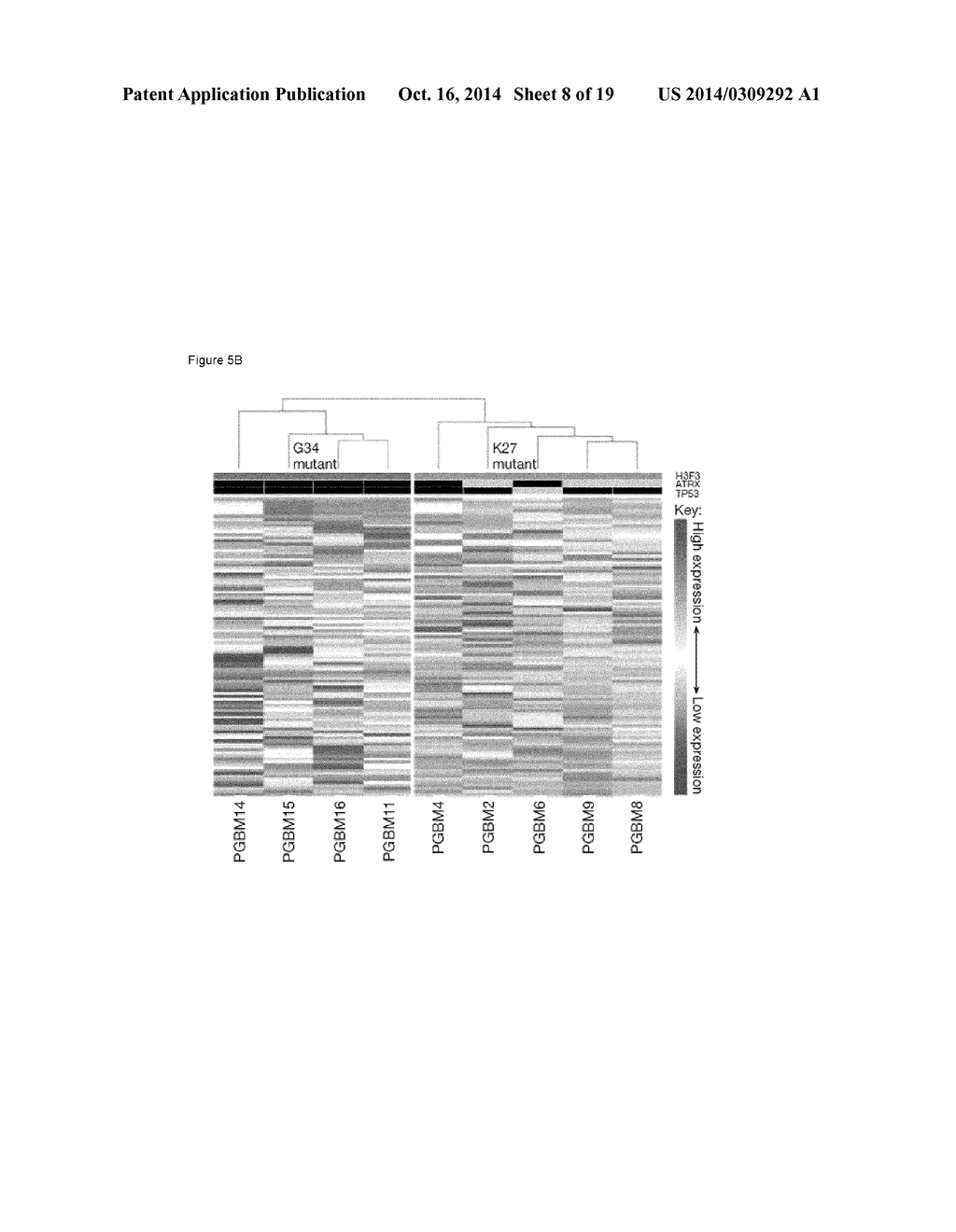 Mutations of Histone Proteins Associated with Proliferative Disorders - diagram, schematic, and image 09