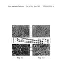 Polymer-oil Compositions, Methods of Making and Using the Same diagram and image