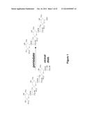 Derivatisation of Erythropoietin (EPO) diagram and image