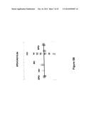 Derivatisation of Erythropoietin (EPO) diagram and image