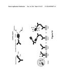 Derivatisation of Erythropoietin (EPO) diagram and image