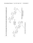 Sialic Acid Derivatives diagram and image