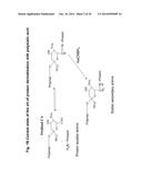 Sialic Acid Derivatives diagram and image