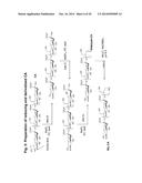 Sialic Acid Derivatives diagram and image