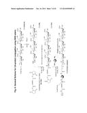 Sialic Acid Derivatives diagram and image