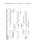 Sialic Acid Derivatives diagram and image