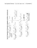 Sialic Acid Derivatives diagram and image