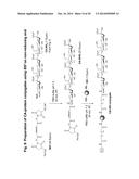 Sialic Acid Derivatives diagram and image