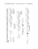 Sialic Acid Derivatives diagram and image