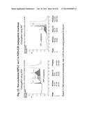 Sialic Acid Derivatives diagram and image