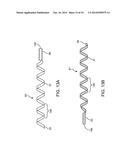 BALLOON CATHETER METHOD FOR REDUCING RESTENOSIS VIA IRREVERSIBLE     ELECTROPORATION diagram and image