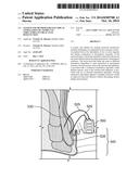 System and Method for Electrical Stimulation of Anorectal Structures to     Treat Anal Dysfunction diagram and image