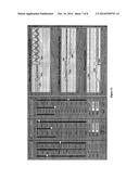 METHOD AND APPARATUS OF SELF-ORGANIZING ACTUATION AND CONTROL diagram and image