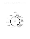 SOYBEAN EVENT SYHT04R AND COMPOSITIONS AND METHODS FOR DETECTION THEREOF diagram and image