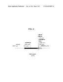 SOYBEAN EVENT SYHT04R AND COMPOSITIONS AND METHODS FOR DETECTION THEREOF diagram and image