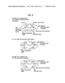 LIQUID CHROMATOGRAPH APPARATUS AND LIQUID CHROMATOGRAPH ANALYSIS METHOD diagram and image