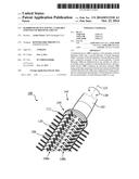 HAIRBRUSH DEVICE HAVING A VARIABLE STIFFNESS OF BRUSH FILAMENTS diagram and image