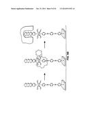 NOVEL CHEMISTRY USED IN BIOSENSORS diagram and image