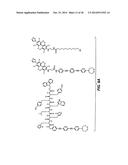 NOVEL CHEMISTRY USED IN BIOSENSORS diagram and image