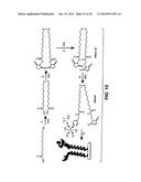 NOVEL CHEMISTRY USED IN BIOSENSORS diagram and image