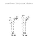 NOVEL CHEMISTRY USED IN BIOSENSORS diagram and image